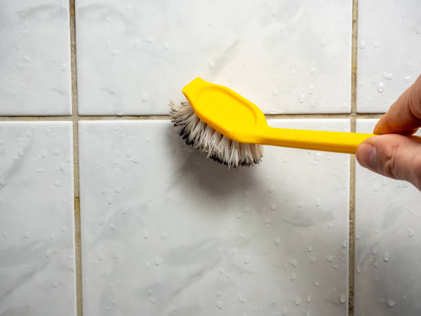 Best Affordable Mold Removal  in Lauderhill, FL