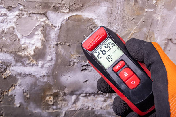 Professional Mold Removal in Lauderhill, FL