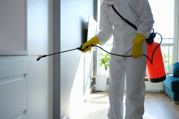 Best Mold Damage Repair  in Lauderhill, FL