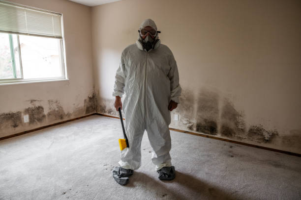 Office Mold Removal Services in Lauderhill, FL